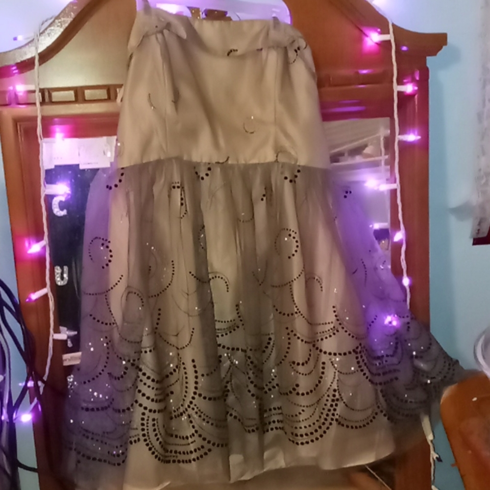 Homecoming/prom dress